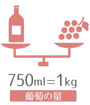 ワイン1本750mlあたりに必要な葡萄：約1kg